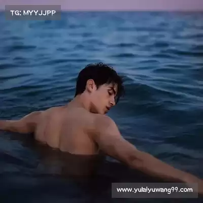 董治鹤